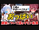 【ちょっとHな話】おっぱい開発について語る宝鐘マリン　ぺこら「同じ同期として恐ろしいんだけど」【ぺこマリ/ホロライブ切り抜き】