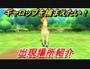 ポケモンピカブイ　ギャロップを捕まえる方法！出現場所紹介！図鑑コンプへの道！　【ポケットモンスター Let's Go! ピカチュウ・イーブイ】