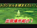 ポケモンピカブイ　トランセルを捕まえる方法！出現場所紹介！図鑑コンプへの道！　【ポケットモンスター Let's Go! ピカチュウ・イーブイ】