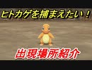ポケモンピカブイ　ヒトカゲを捕まえる方法！出現場所紹介！図鑑コンプへの道！　【ポケットモンスター Let's Go! ピカチュウ・イーブイ】