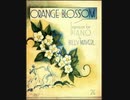 【Billy Mayerl】Orange BlossomをDTM演奏してみた【DTMカバー】