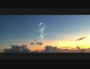 忘憂草 / menow feat.初音ミク