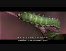 【英語】ビューティフル・ピープル　ゆかいな仲間 5/10