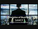Principles of Business Level 3