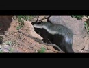 【英語】ビューティフル・ピープル　ゆかいな仲間 6/10
