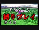 【ドラクエ5 縛りプレイ】迷いの森から妖精の村へ！おや、不穏な空気が…Part48【アルカリ性】