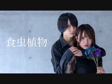 食虫植物 踊ってみた【くつしたちゃん×らいき】
