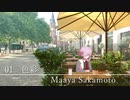 Fateシリーズ　アコースティックメドレー　Fate songs medley in Acoustic【作業用BGM】