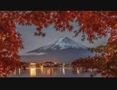 風に聞け２０１２２９　Ipanema Daydream - Bird Creek