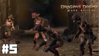 仕事辞めたので覚者になる。#5【ドラゴンズドグマダークアリズン】【DDDA】