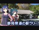 静岡県道の駅ラリー #02・天竜熊【そくドラ！外縁隊】