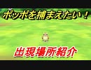 ポケモンピカブイ　ポッポを捕まえる方法！出現場所紹介！図鑑コンプへの道！　【ポケットモンスター Let's Go! ピカチュウ・イーブイ】