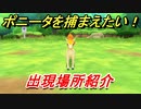 ポケモンピカブイ　ポニータを捕まえる方法！出現場所紹介！図鑑コンプへの道！　【ポケットモンスター Let's Go! ピカチュウ・イーブイ】
