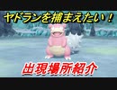 ポケモンピカブイ　ヤドランを捕まえる方法！出現場所紹介！図鑑コンプへの道！　【ポケットモンスター Let's Go! ピカチュウ・イーブイ】