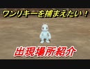 ポケモンピカブイ　ワンリキーを捕まえる方法！出現場所紹介！図鑑コンプへの道！　【ポケットモンスター Let's Go! ピカチュウ・イーブイ】