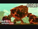 【実況】#010:ゼルダ無双 厄災の黙示録 初見実況プレイ★【ハード】