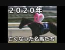 【競馬】　２０２０年　亡くなった名馬たち