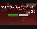 【マイクラ】のんびりプレイ #35