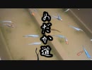 「神は細部に宿る！」めだか道の奥深さに驚愕する夫婦【20/12/20 犬連れ夫婦旅③】