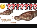 【グラブル】シャトラにフィルレイン実装！ そしてまさかのツチノコ！【グランブルーファンタジー/GRANBLUE FANTASY】