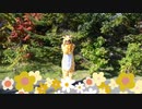 【ゆきねこ】ようこそジャパリパークへ踊ってみた【ゆきりん】