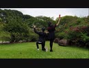 【クローしぬぬ】結んで開いて羅刹と骸 Musunde Hiraite Rasetsu to Mukuro を踊ってみた