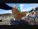 チョイ悪野良猫が原チャリのシートでマッタリしていたので腰トントンしたゾ