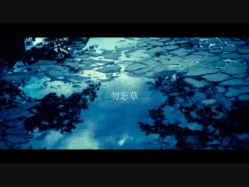 勿忘草 / ryo-shun
