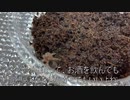 [大晦日万歳]タランチュラ飼育日記その４９[ビール天国イェア]