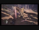 [非実況]年の差親子の魔境旅行～番外編その2～[MHWIB]