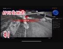 どん底APEX配信#1