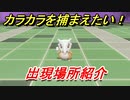 ポケモンピカブイ　カラカラを捕まえる方法！出現場所紹介！図鑑コンプへの道！　【ポケットモンスター Let's Go! ピカチュウ・イーブイ】