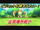 ポケモンピカブイ　ピジョットを捕まえる方法！出現場所紹介！図鑑コンプへの道！　【ポケットモンスター Let's Go! ピカチュウ・イーブイ】