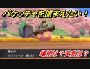 ポケモン剣盾　バケッチャを捕まえる方法！オススメの場所は？天気は？ポケモン図鑑コンプへの道！　【ポケモンソード・シールド】