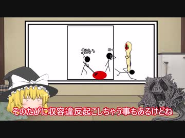 人気の「SCP-1733」動画 12本 - ニコニコ動画