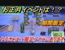 あつまれどうぶつの森　正月イベントは？期間限定アイテムあります！　【あつ森】