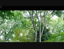 虎ノ門ニュース生配信最高！！/らじおZATSUDANic　NATIVE