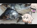 ありあしまいのおしょうがつ