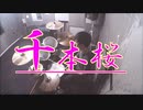 【叩いてみた】千本桜／黒うさＰfeat.初音ミク　(Drum cover)