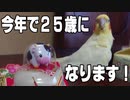 2021年！今年で生まれて四半世紀です！