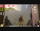 【ゆっくり実況】はじめてのゼルダはじめてのブレワイ part12【ゼルダの伝説ブレスオブザワイルド】
