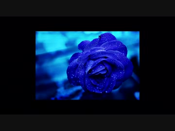 【ニコラップ】雫崩し / you, Andy