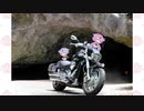 鳴花ーズのブルバードツーリング日記　Part6「岡山　リハビリツーリング」