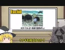 何か変な霊夢とゆっくりscp解説　第二回目「鰻を投げるお祭り」