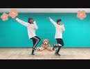 【こめ大臣×とんすけ】神のまにまに　踊ってみた