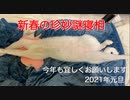 珍妙猫たち、年越しの瞬間から縁起物を披露する