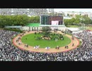 【京都競馬場】円形パドック定点撮影