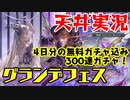 【グラブル実況】サンダルアナザー狙い！グランデフェス天井300連ガチャ（2020年末）