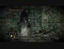 【DARK SOULS Ⅱ SCHOLAR OF THE FIRST SIN】-絶望を焚べよ-　１週目を普通に攻略　～其の２１～【ダクソ２】