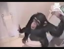 Monke in my bathroom